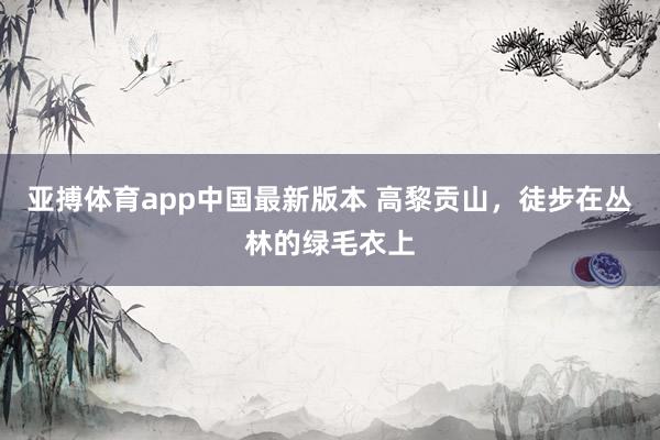 亚搏体育app中国最新版本 高黎贡山，徒步在丛林的绿毛衣上