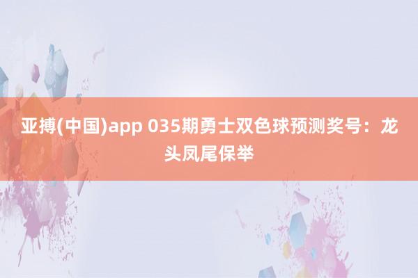 亚搏(中国)app 035期勇士双色球预测奖号：龙头凤尾保举