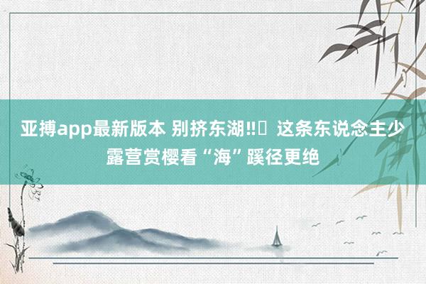 亚搏app最新版本 别挤东湖‼️这条东说念主少露营赏樱看“海”蹊径更绝
