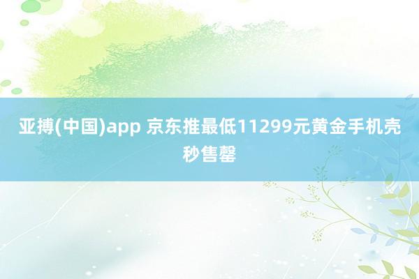 亚搏(中国)app 京东推最低11299元黄金手机壳秒售罄